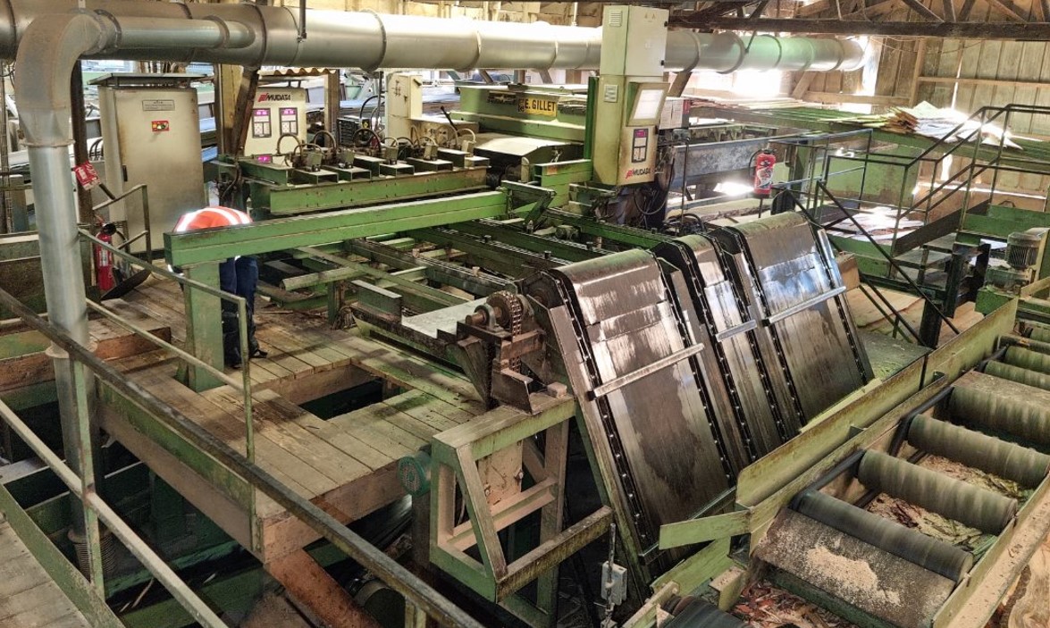 Déligneuse bois dans une scierie